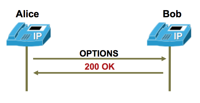 File:Sip options.png